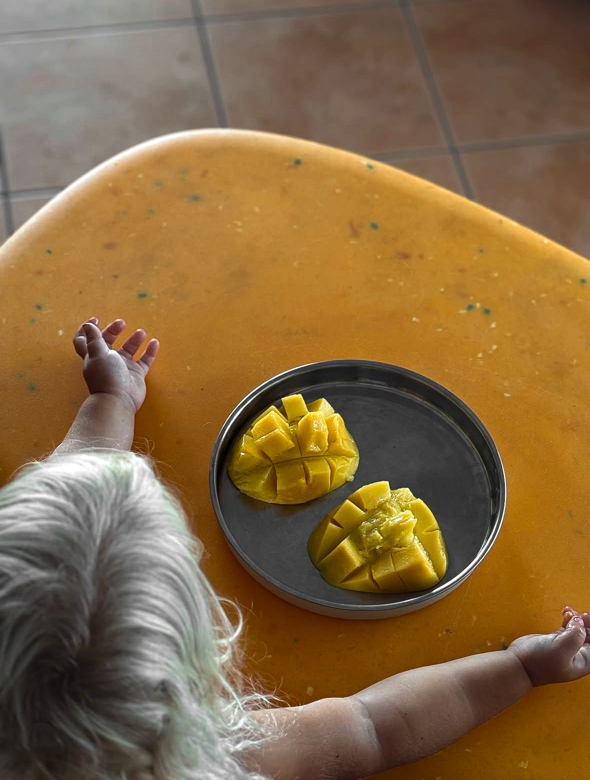 Single Kids Dining Plate